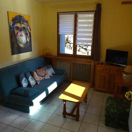 Profiter Du Calme De La Montagne Vosgienne Apartment Saulxures-sur-Moselotte Exterior photo