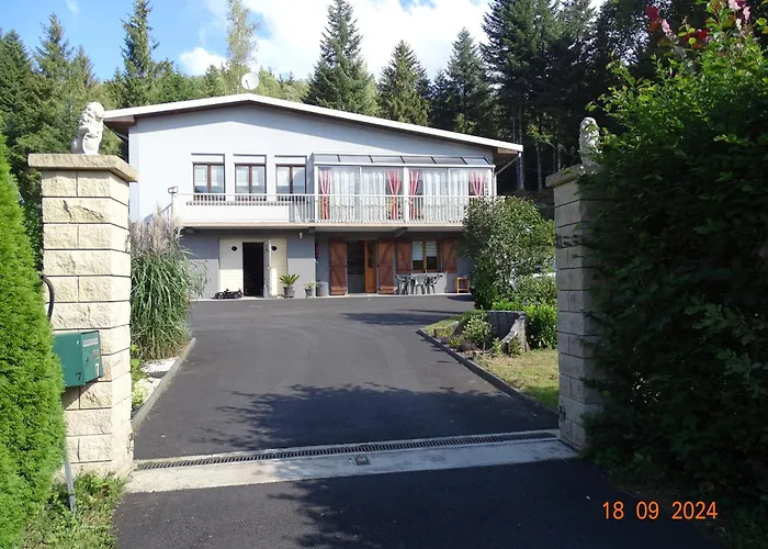 Profiter Du Calme De La Montagne Vosgienne